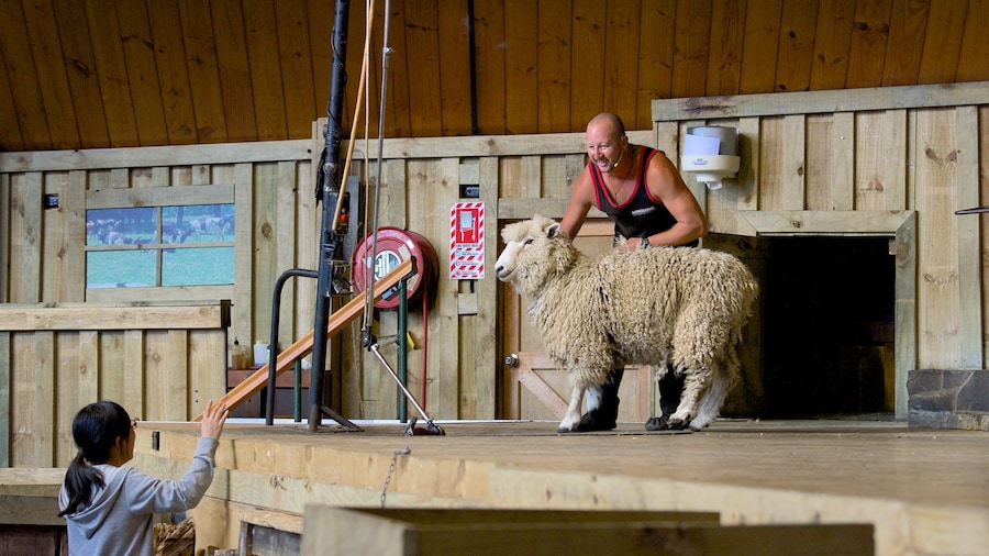 Agrodome