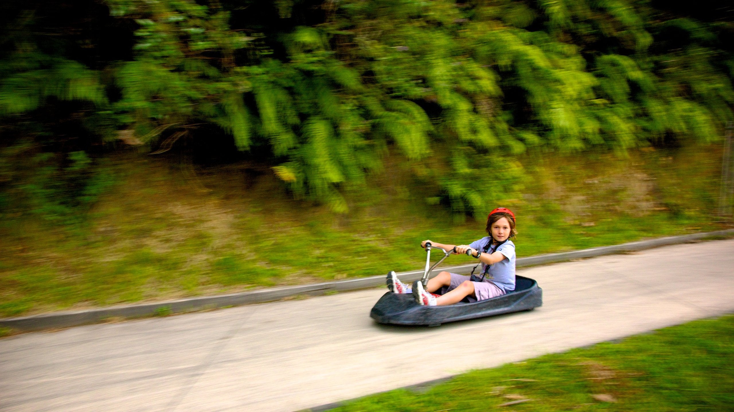 Skyline Rotorua showing rides as well as an individual child
