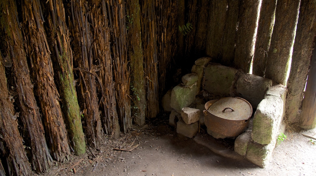 Buried Village which includes heritage elements