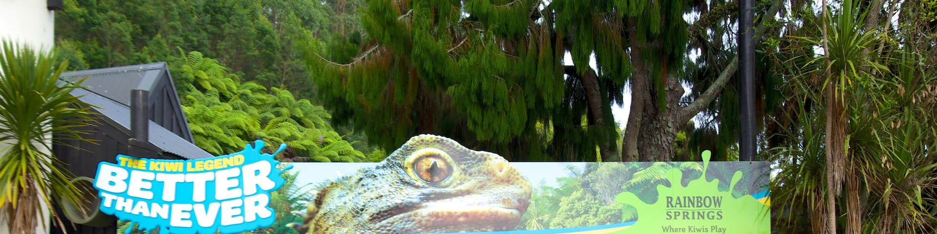 Rainbow Springs Kiwi Wildlife Park showing zoo animals