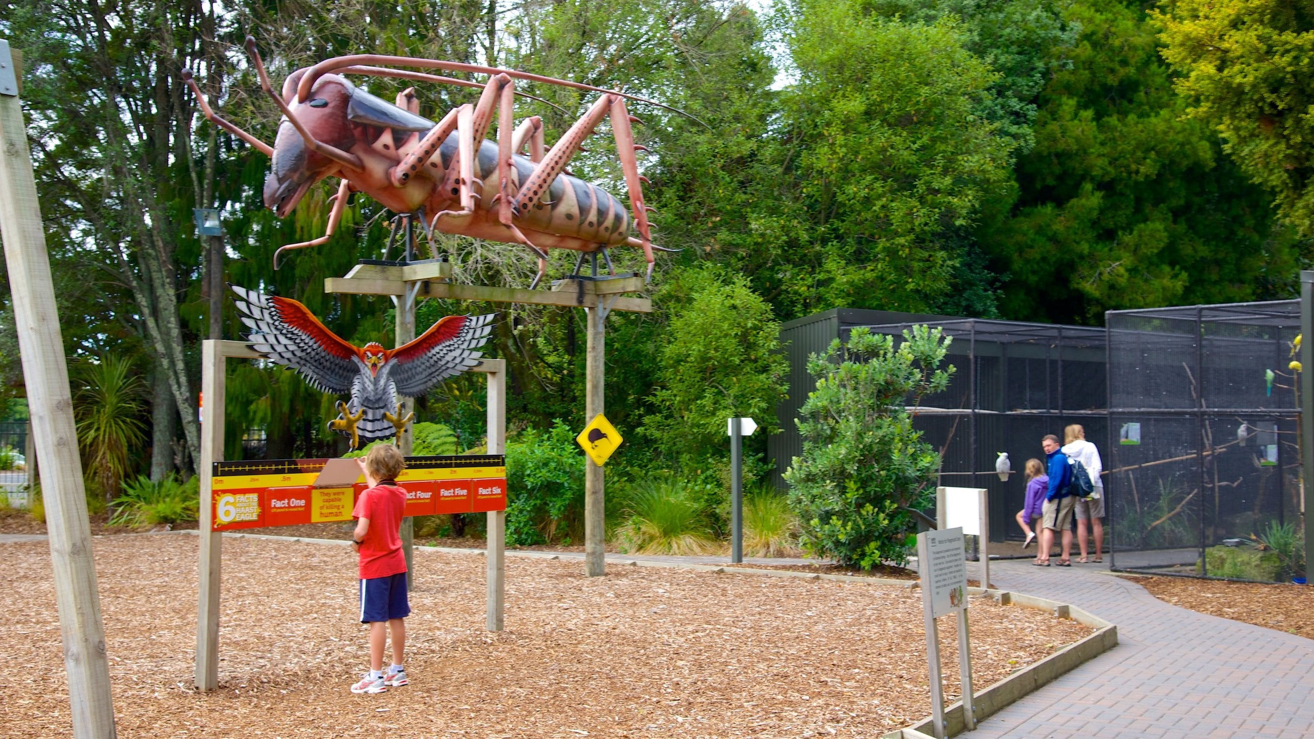 Rainbow Springs Kiwi Wildlife Park which includes zoo animals as well as an individual child