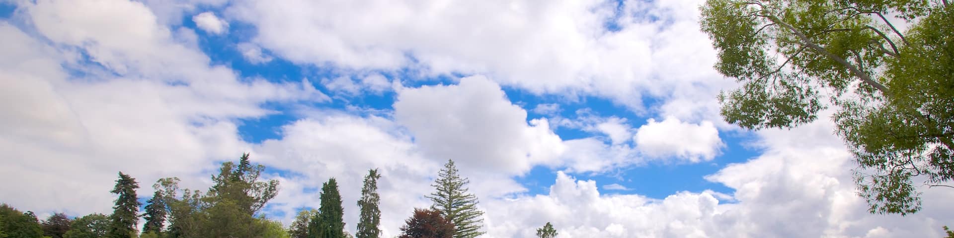 Taupo showing a lake or waterhole