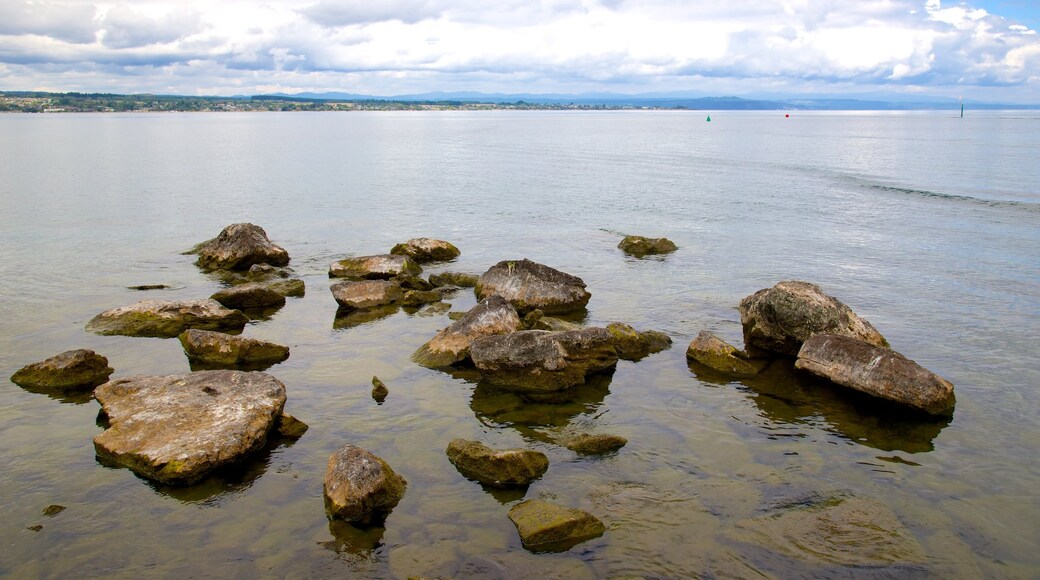 Taupo which includes a lake or waterhole