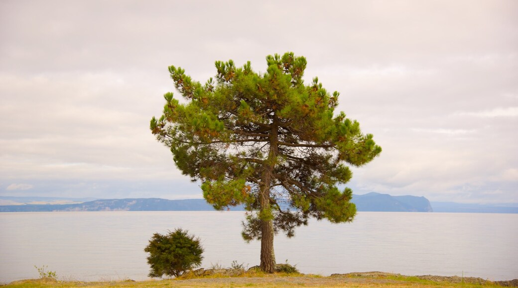 Taupo featuring general coastal views
