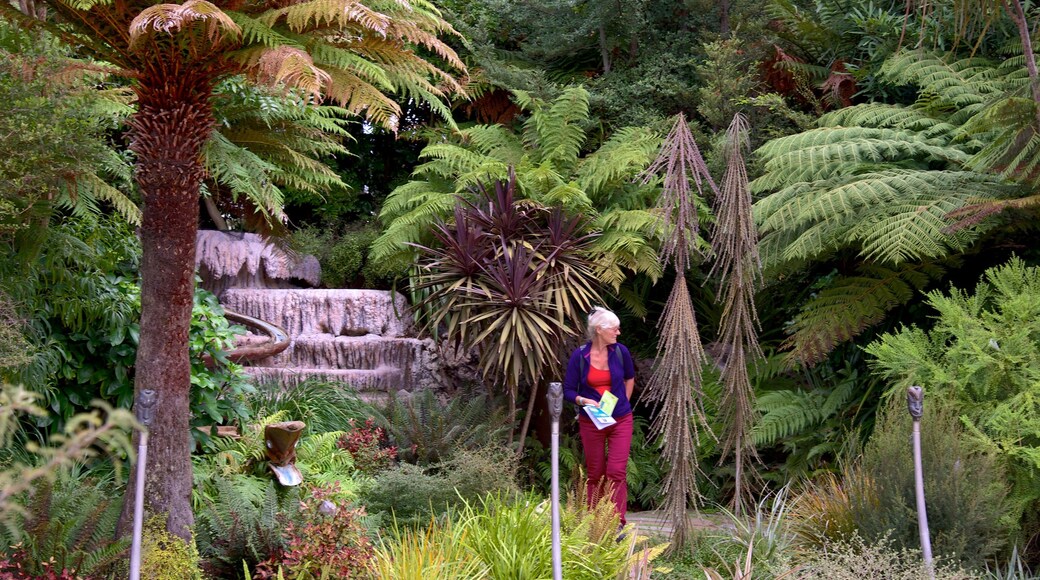 Musée et galerie d\'art du Lac Taupo qui includes forêts aussi bien que femme