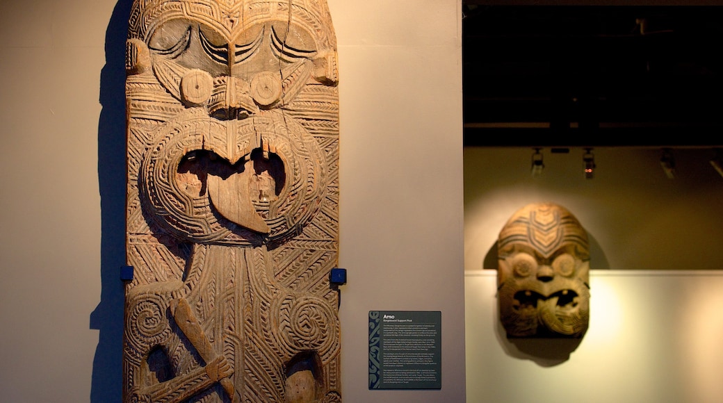 Lake Taupo Museum and Art Gallery showing art and indigenous culture
