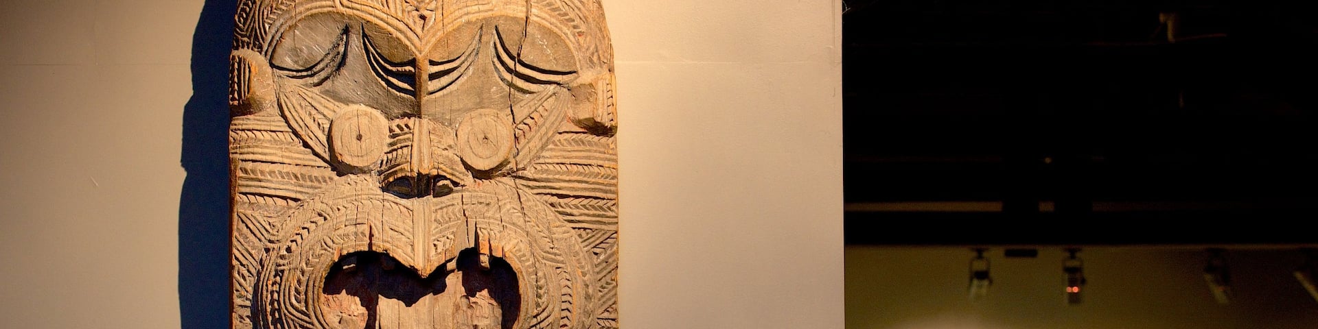 Lake Taupo Museum and Art Gallery showing art and indigenous culture
