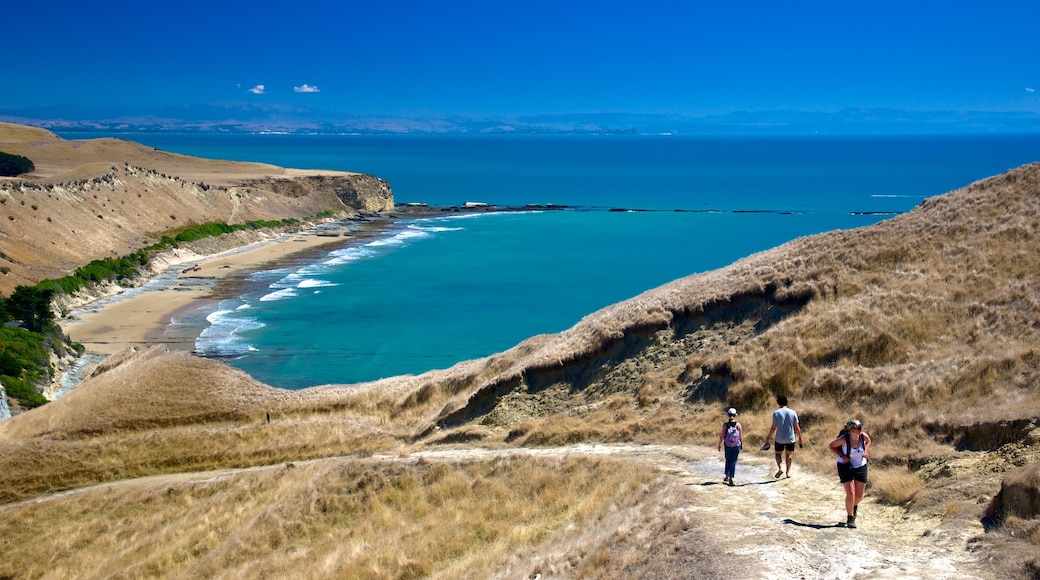 Cape Kidnappers which includes hiking or walking and a lake or waterhole