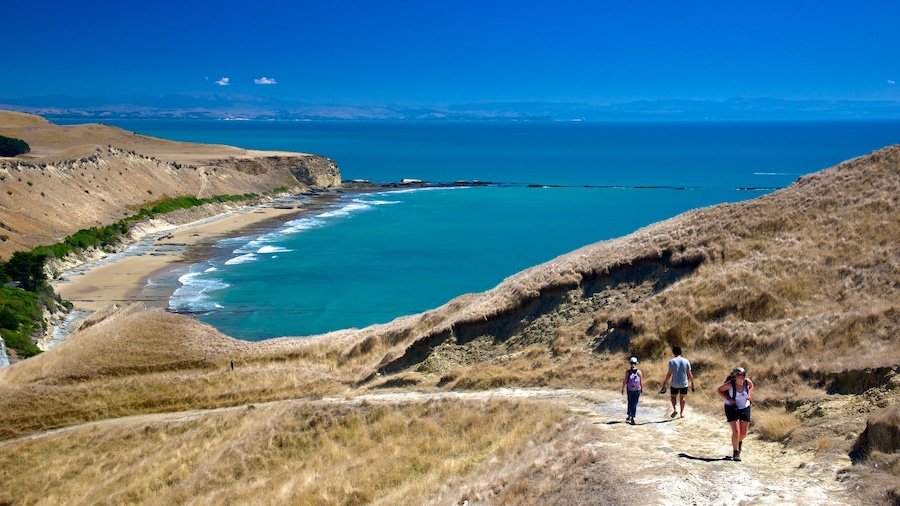 Cape Kidnappers bevat hiken of wandelen en een meer of poel