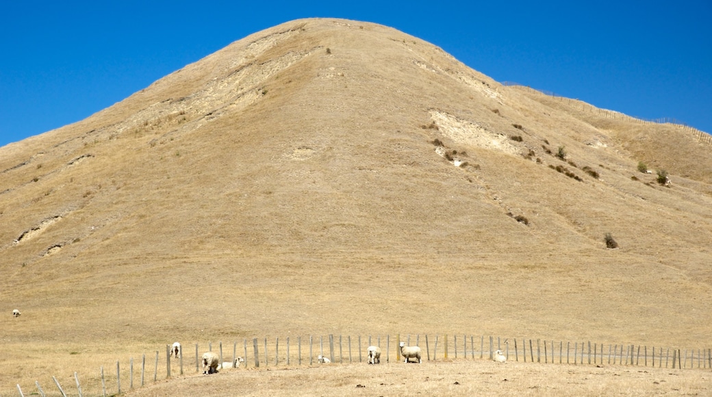 Cape Kidnappers che include paesaggi rilassanti