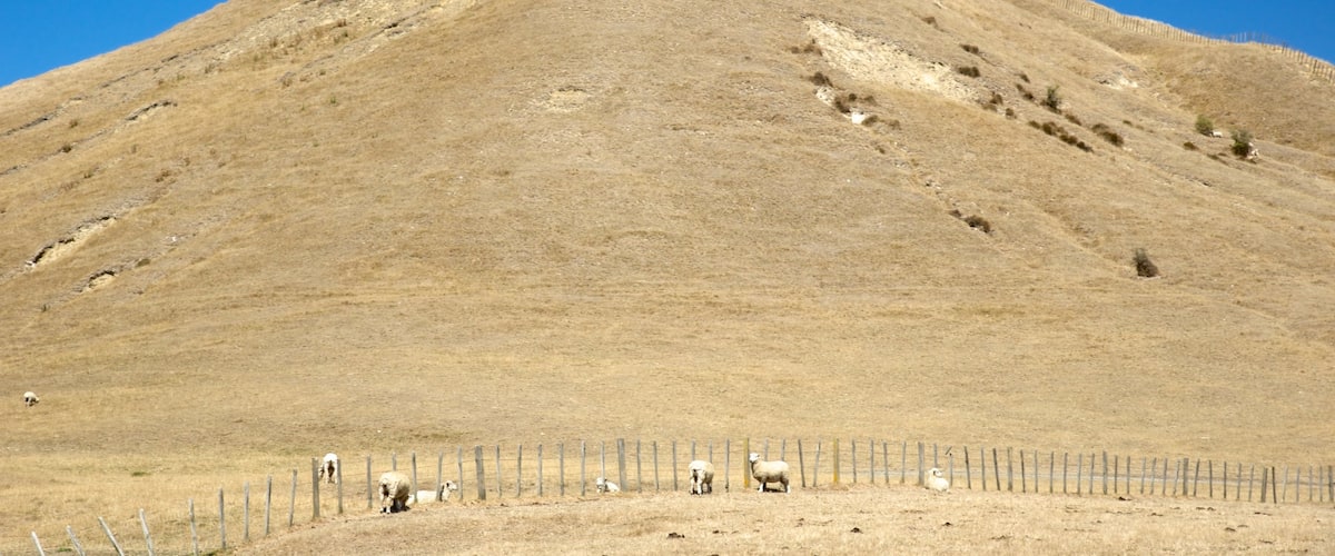 Cape Kidnappers which includes tranquil scenes