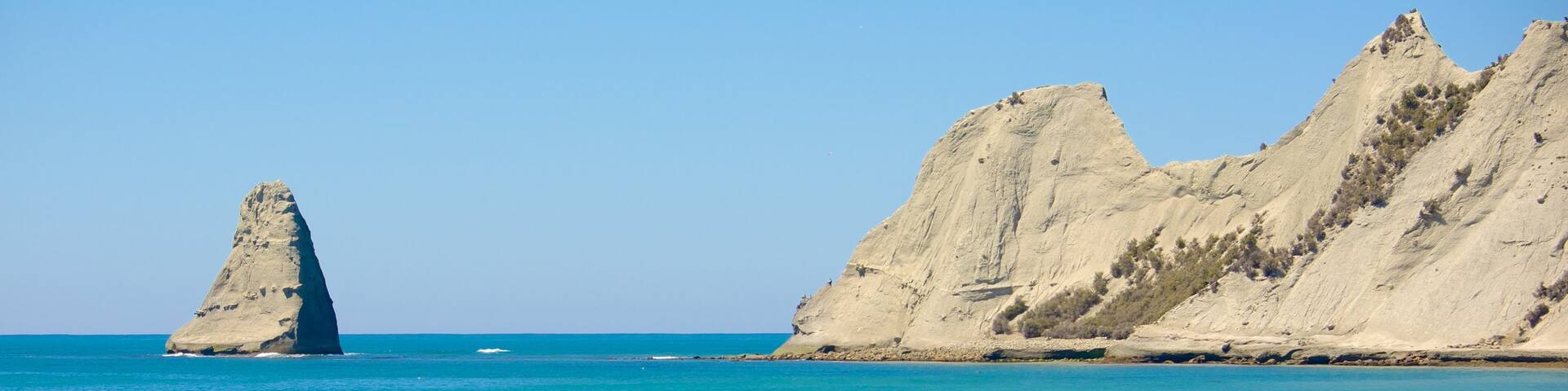 Cape Kidnappers which includes rugged coastline