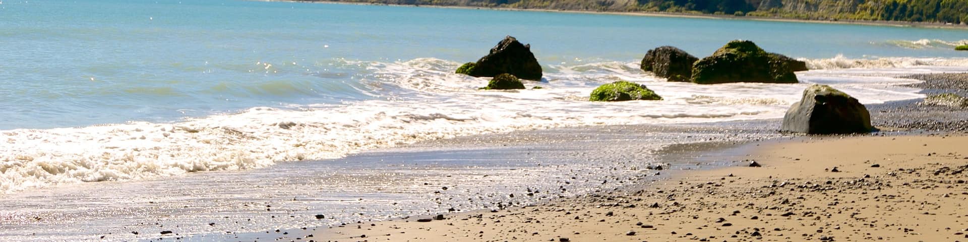 Cape Kidnappers mostrando costa rocosa