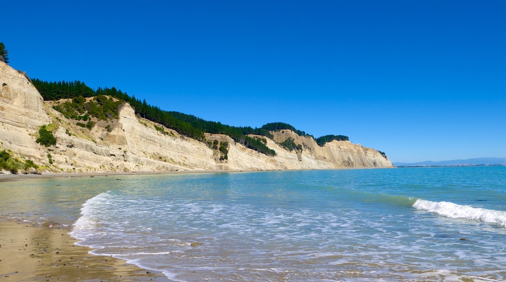 Cape Kidnappers showing rocky coastline