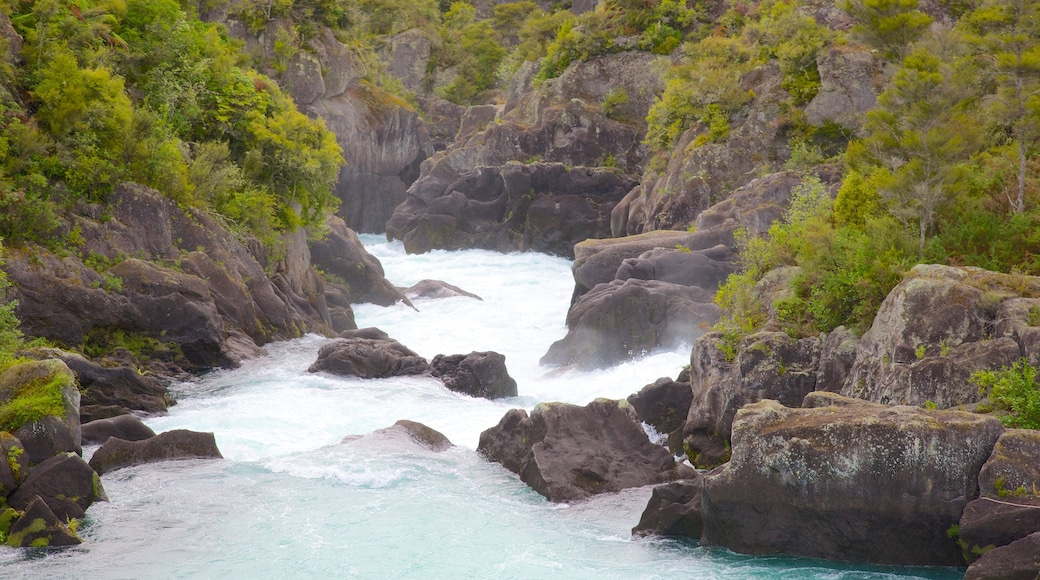 Aratiatia Rapids das einen Stromschnellen