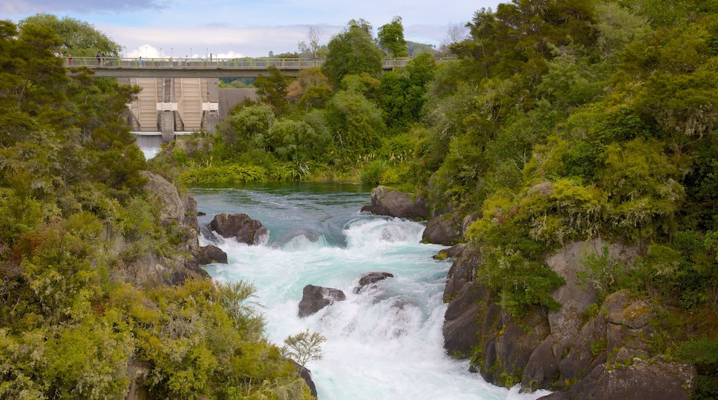 Aratiatia Rapids das einen Stromschnellen