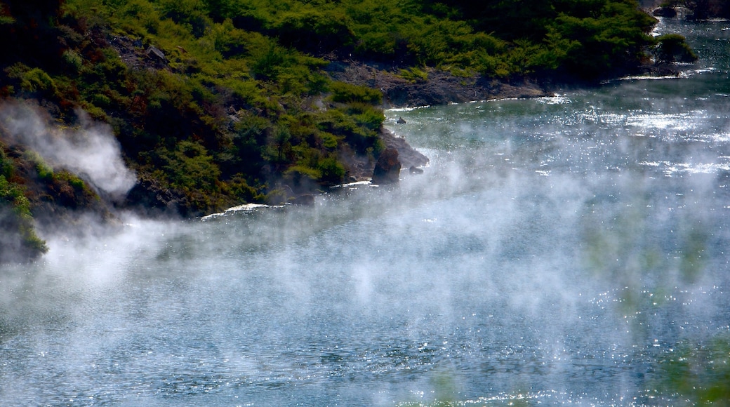 Waimangu Volcanic Valley que inclui uma fonte termal