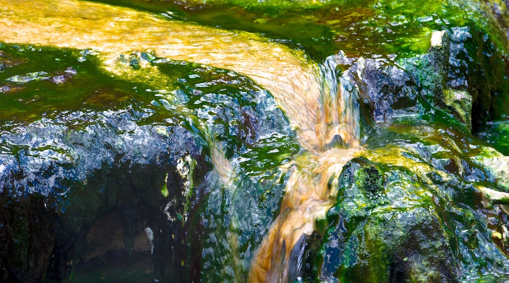 Waimangu Volcanic Valley , Rotorua, Nueva Zelanda que incluye un río o arroyo