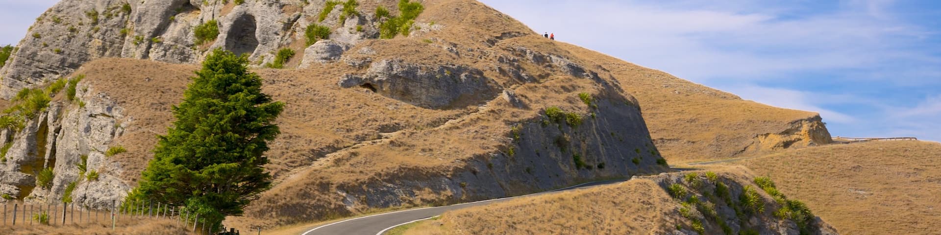 Te Mata Peak featuring mountains