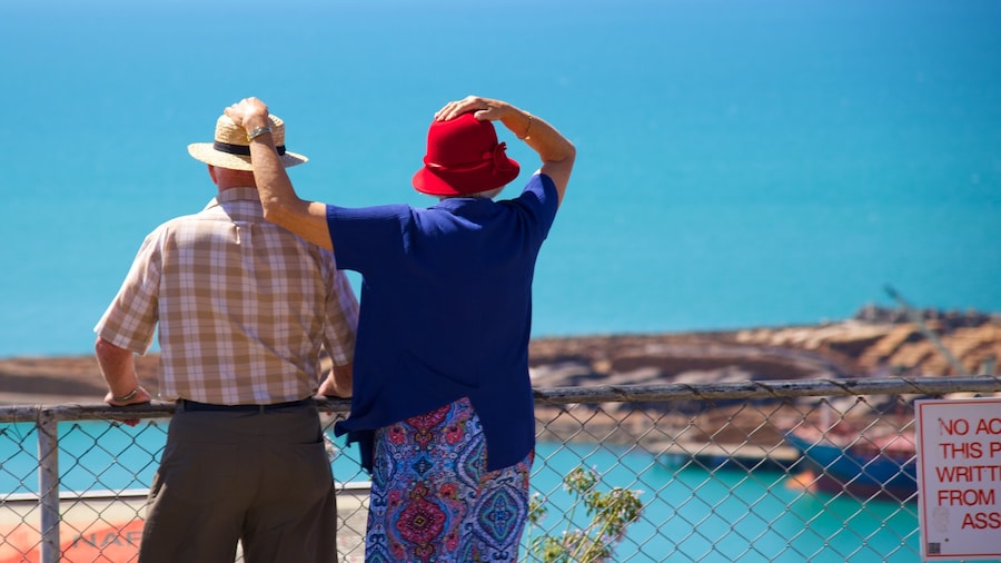 Bluff Hill Domain Lookout bevat algemene kustgezichten en ook een stel