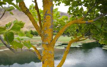 トゥキ トゥキ観光ガイド 定番人気スポットを参考に自分にピッタリの観光プランを立てよう エクスペディア