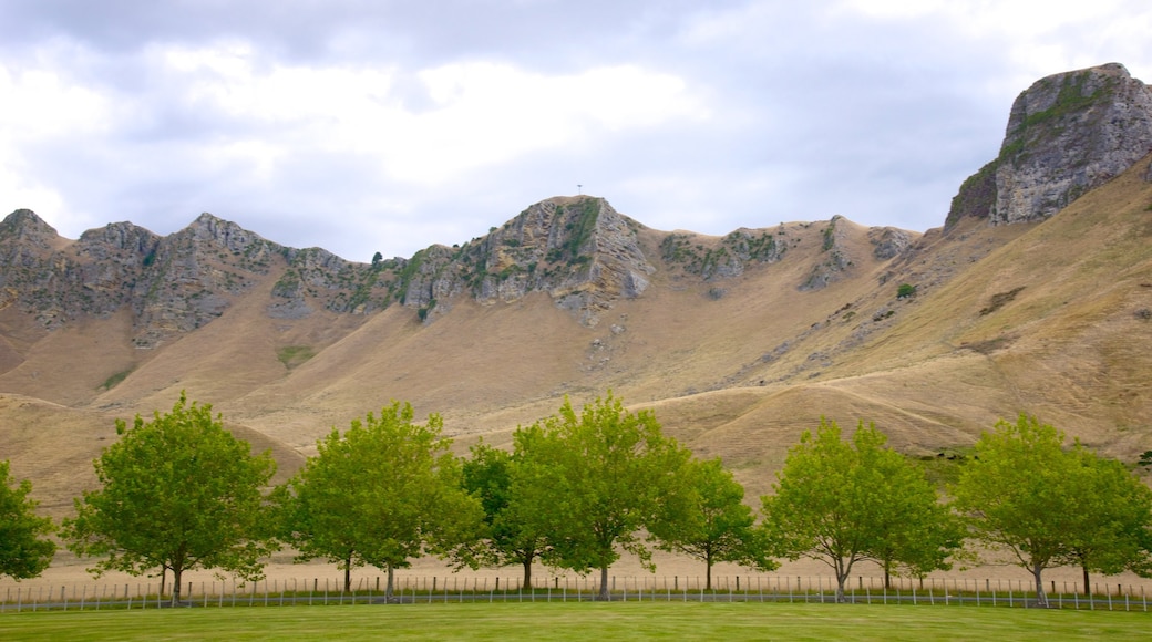 Craggy Range qui includes jardin et panoramas