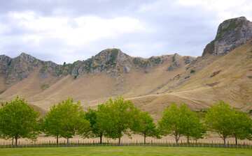 トゥキ トゥキ観光ガイド 定番人気スポットを参考に自分にピッタリの観光プランを立てよう エクスペディア