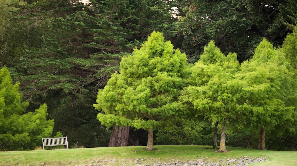 Craggy Range showing a park