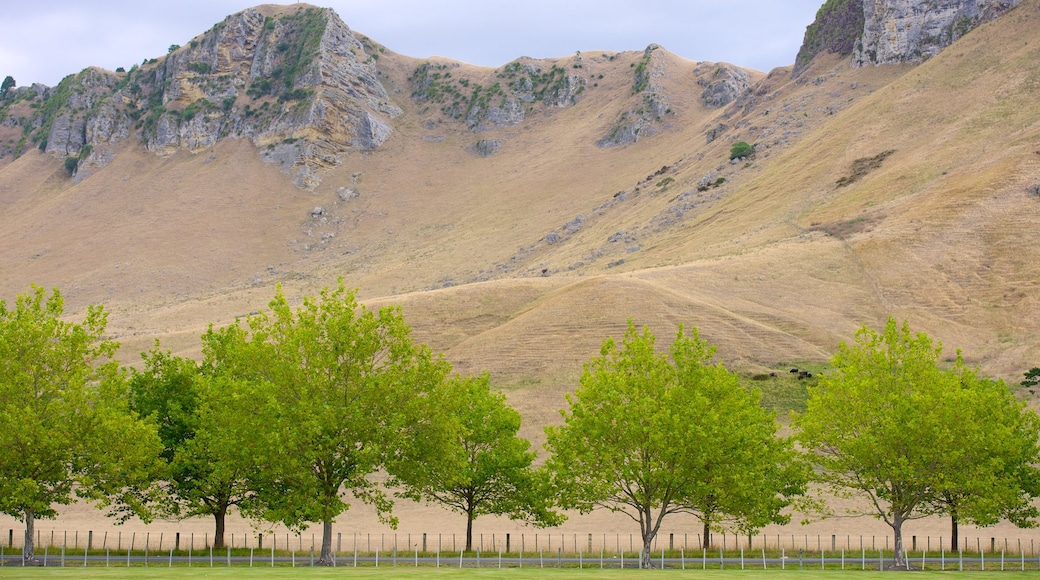 Craggy Range caratteristiche di parco e vista del paesaggio