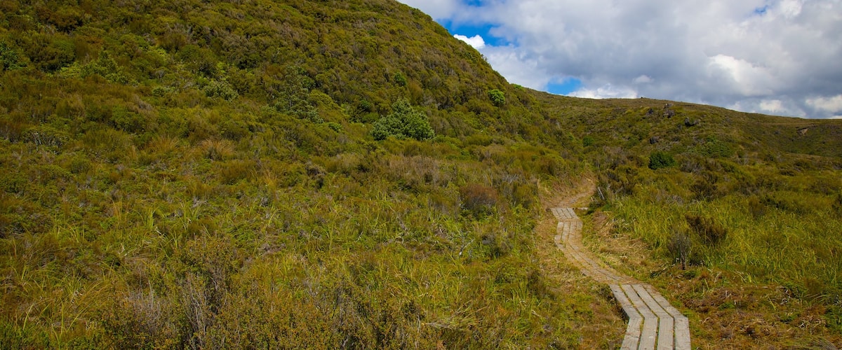 Tongariro National Park mostrando um jardim