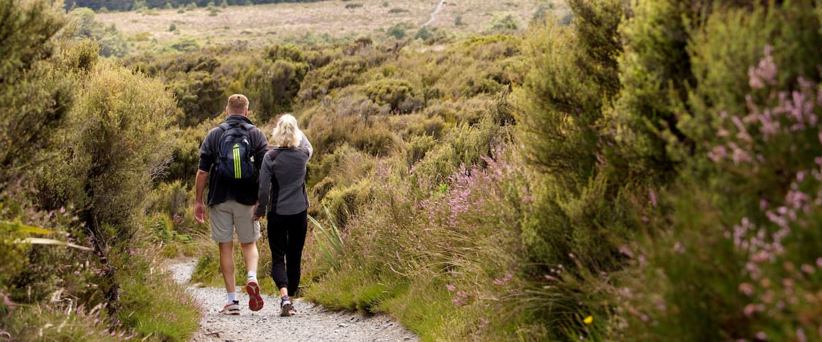 Tongariro National Park showing hiking or walking as well as a couple