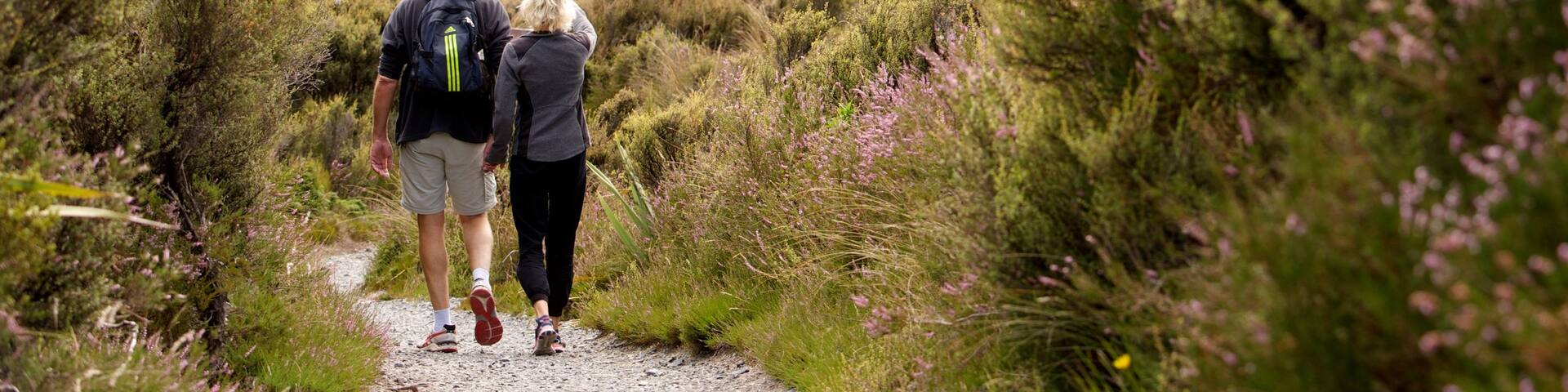 Tongariro National Park showing hiking or walking as well as a couple