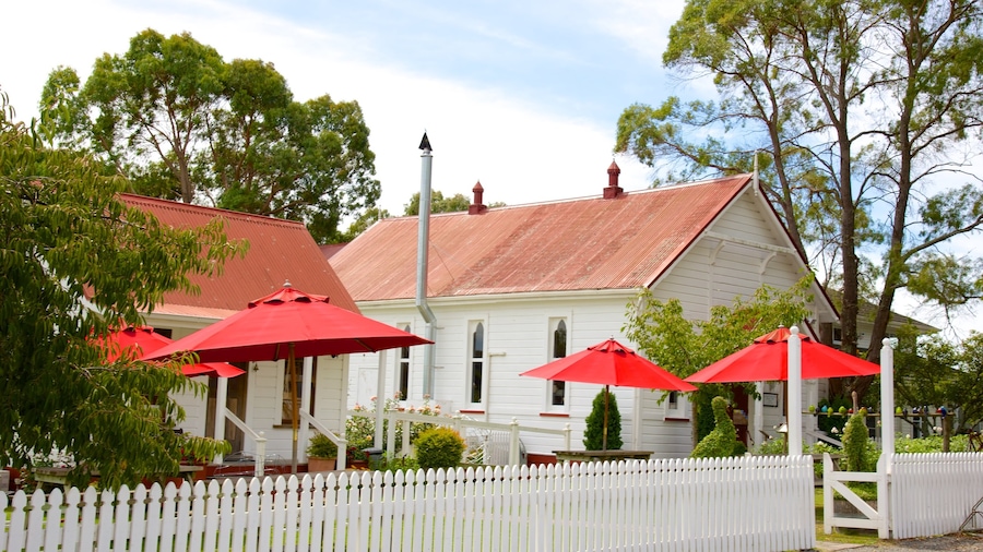 Havelock North