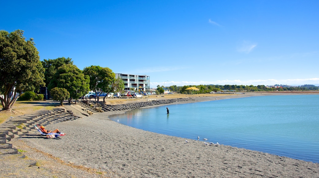 Napier som viser en sø eller et vandhul og en park