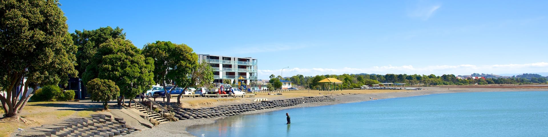 Napier which includes a park and a lake or waterhole