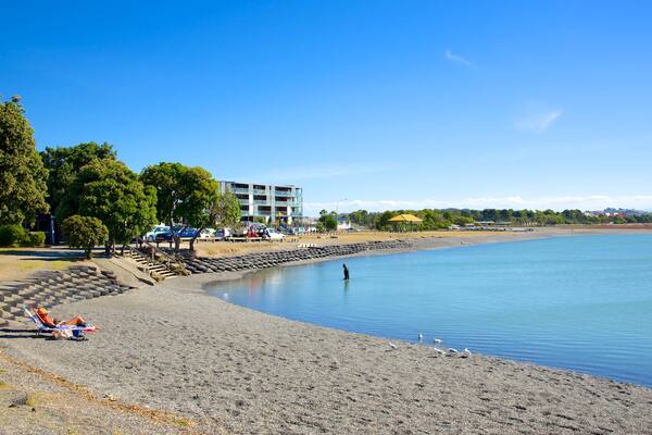 Napier which includes a park and a lake or waterhole