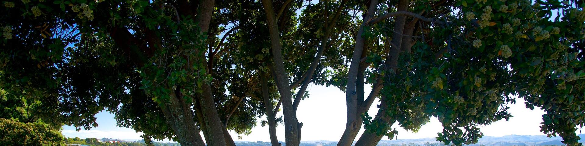 Napier which includes a lake or waterhole and a park