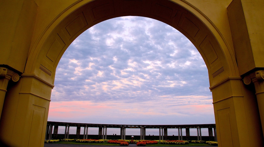 Napier showing a sunset and a park