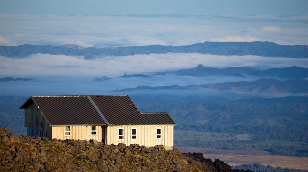 Turangi showing a house and landscape views