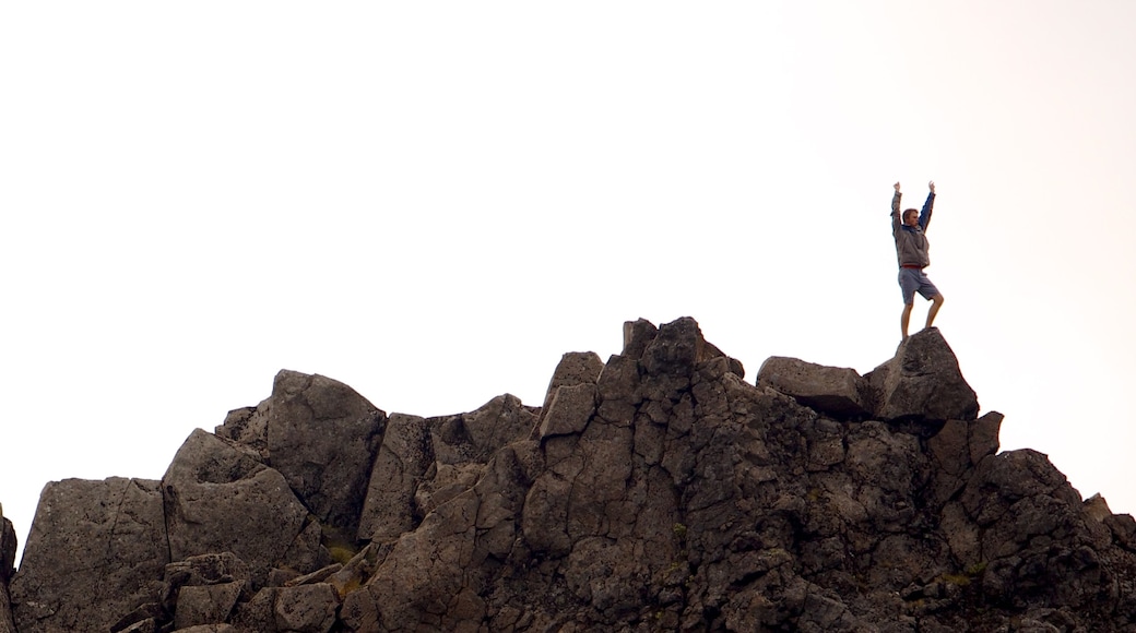 Turangi showing mountains as well as an individual male