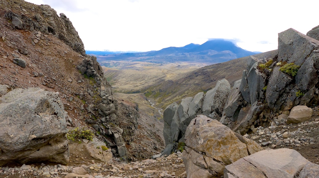 Turangi che include vista del paesaggio