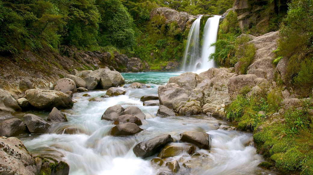 Turangi das einen Fluss oder Bach