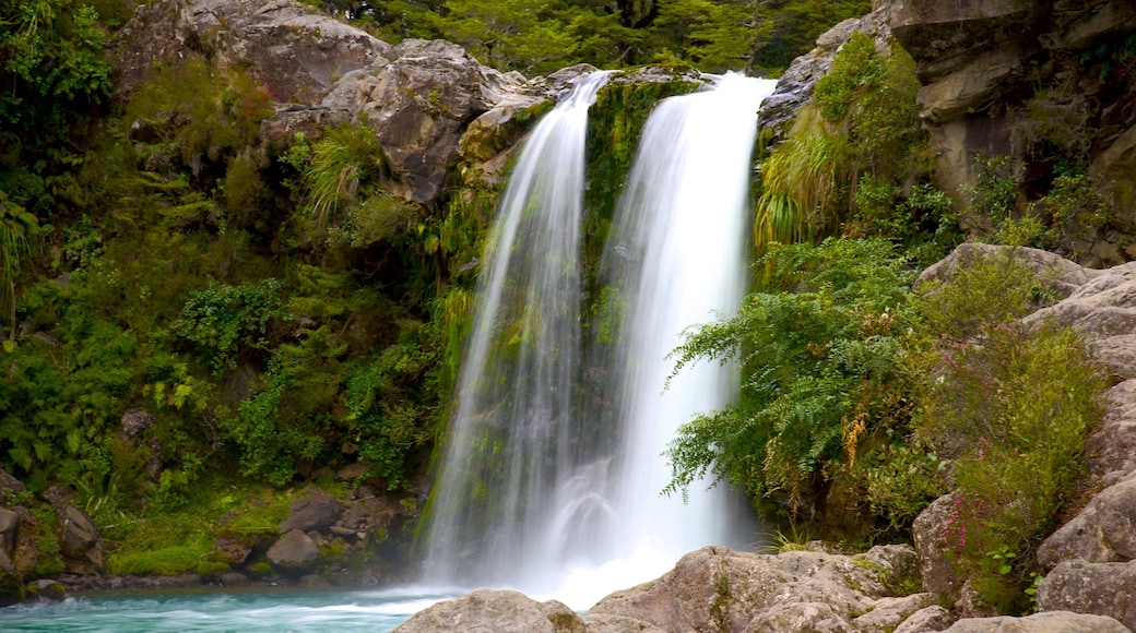 Turangi featuring a waterfall