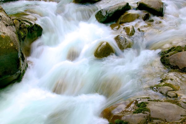Turangi mettant en vedette riviĂšre ou ruisseau