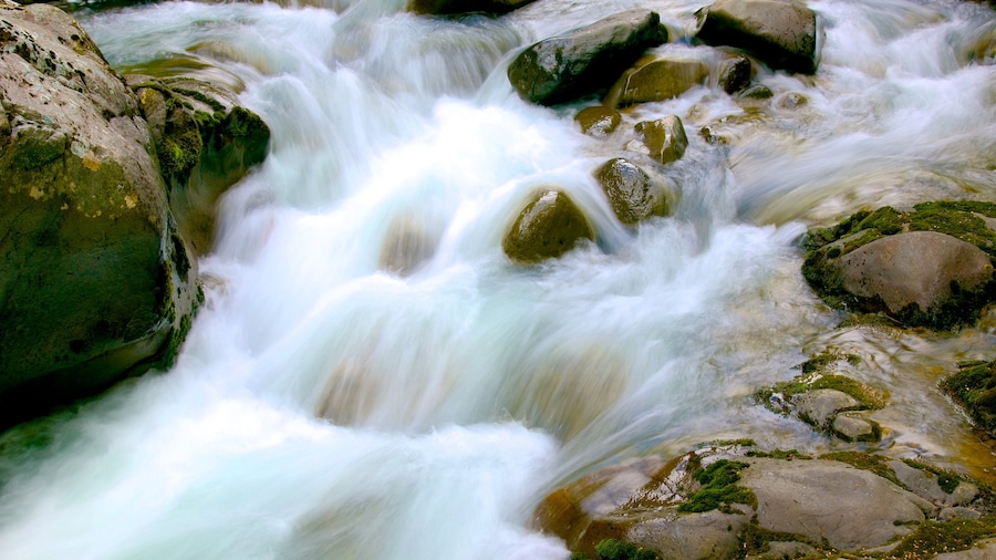 Turangi que incluye un río o arroyo