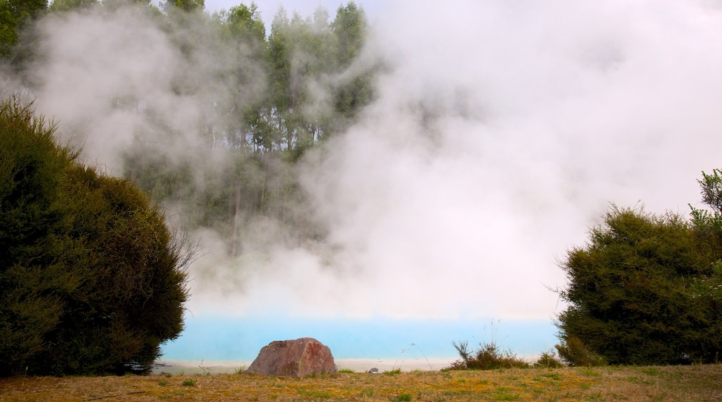 Wairakei featuring a hot spring