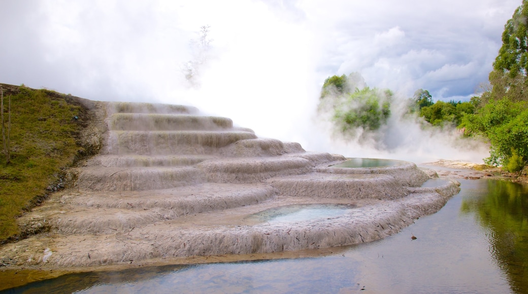 Wairakei featuring a hot spring