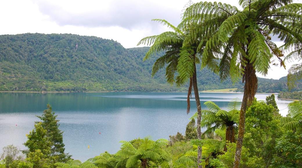 Rotorua showing a lake or waterhole