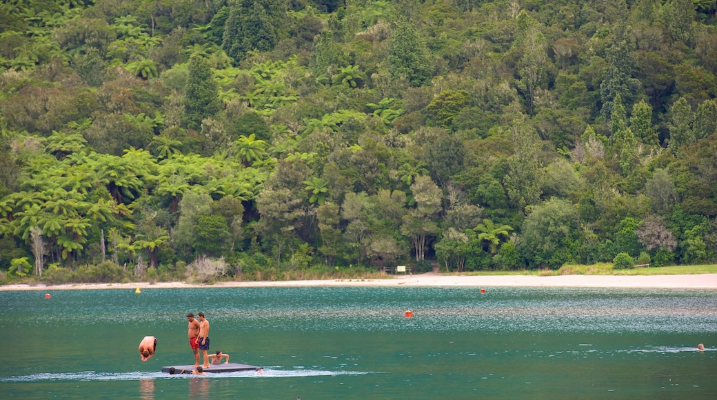 Rotorua showing a lake or waterhole as well as a small group of people