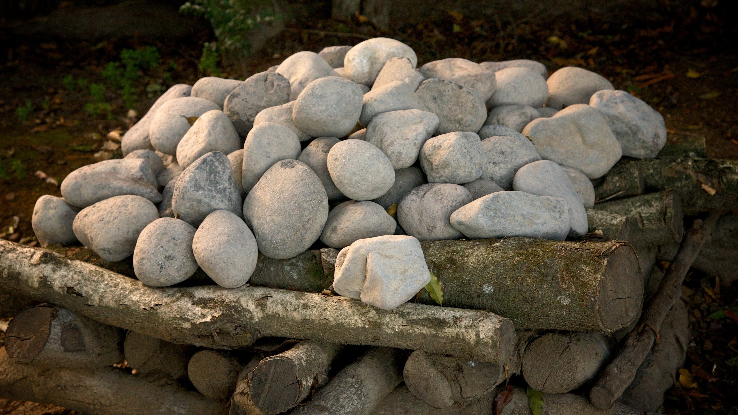 Visit Kawaha Point 2024 Kawaha Point, Rotorua Travel Guide Expedia